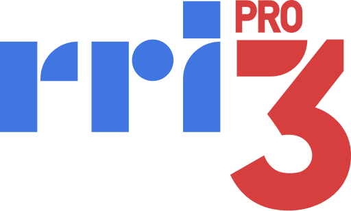 Pro-3 Logo